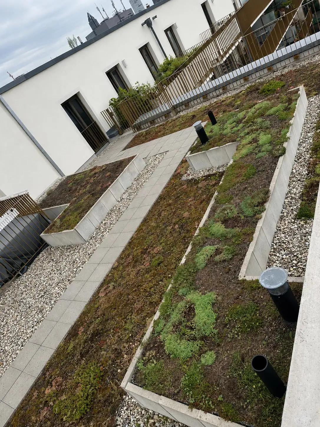 Begrünte Dachterrasse mit Kiesstreifen