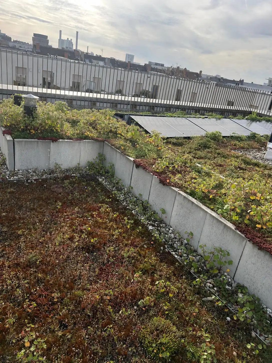 Dachterrasse mit Plattenfläche und Begrünung