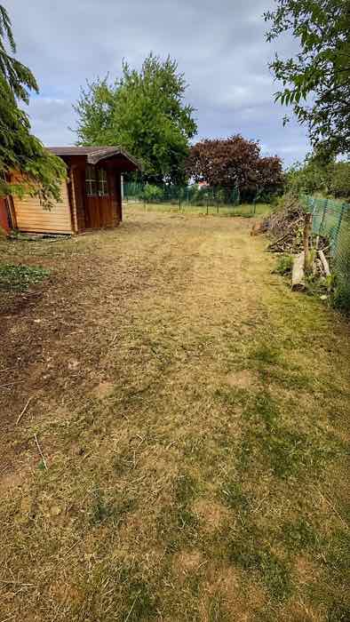 Gepflegter Garten nach Freischnitt und Gartenpflege